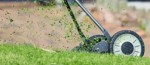 How to change lawn mower oil – and why now is your last chance to do it, according to experts