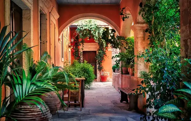 Best plants for a courtyard garden – 8 favorites to grow for maximum impact in a small space