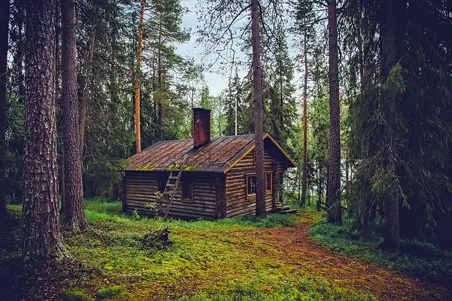 Decluttering Made Easy: Permission to Let Go!