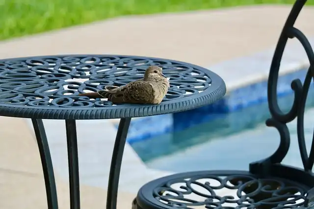 Stackable Patio Chair: Stylish, Durable, and Space-Saving