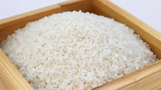Perfect Rice: Cooking Tips, Ratios & Steaming Secrets