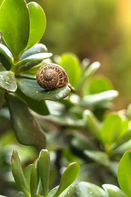 Vonhaus 3-in-1 Leaf Blower: Vacuum & Mulcher Review