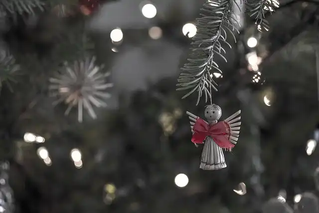 Sophia Loren’s Timeless Christmas Tree Decor Inspiration