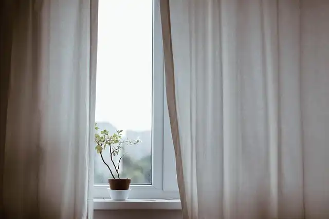Mastering Indoor Plant Styling for a Connected, Inviting Home