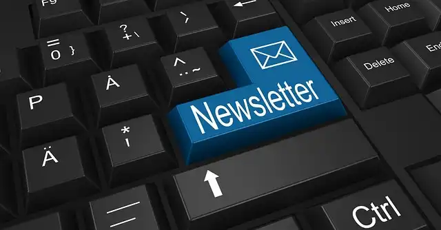 Dezeen Newsletters: Stay Informed with Curated Content